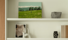 消费者决策周期缩短至